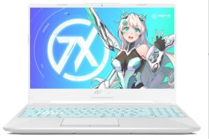 华硕(天选2),R7-5800H,16G,512G,RTX3060,144HZ,15.6寸